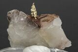 Stunning, Native Gold Formation in Quartz - Morocco #213548-3